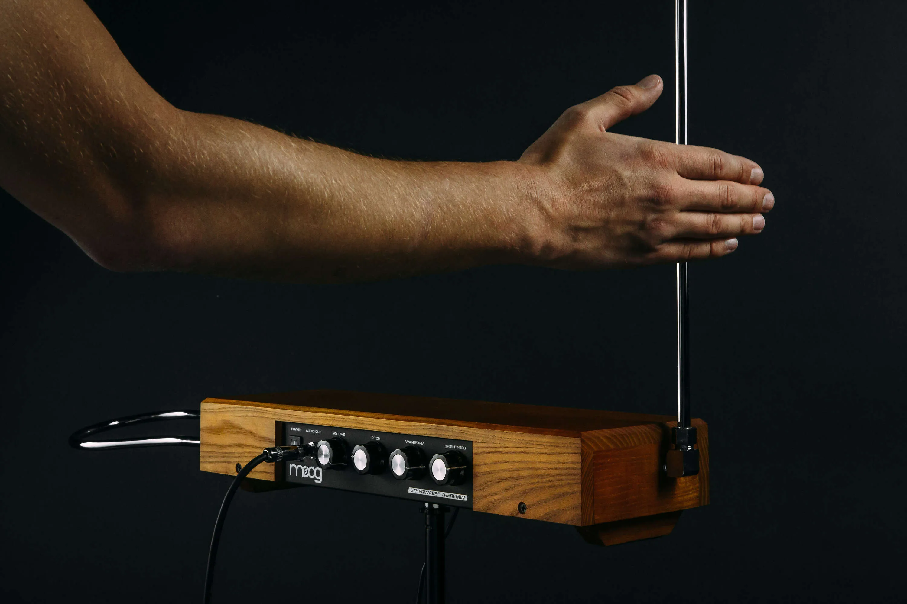 Moog Etherwave Theremin Standard - Ash